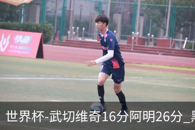 世界杯-武切维奇16分阿明26分 黑山大胜埃及