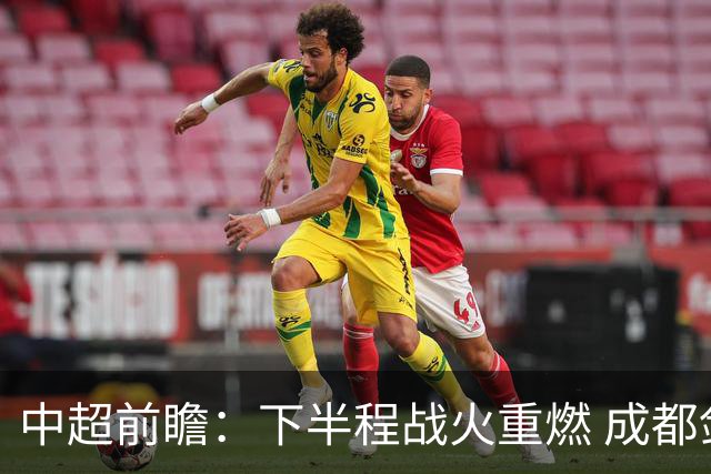 中超前瞻：下半程战火重燃 成都剑指三分申花求反弹
