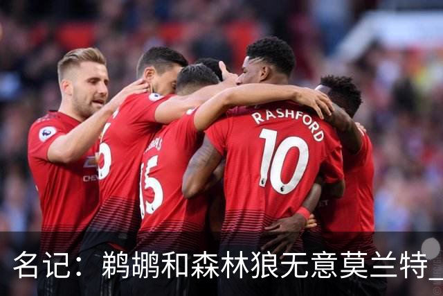 名记：鹈鹕&森林狼无意莫兰特 热火也不急于尝试其与字母哥的搭档