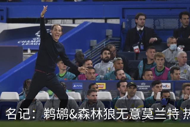 名记：鹈鹕&森林狼无意莫兰特 热火也不急于尝试其与字母哥的搭档